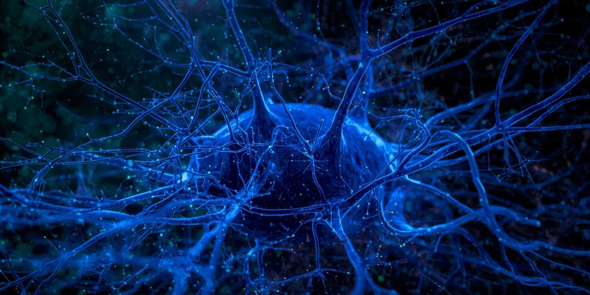 Redes Sociales 2025: El Futuro de la Conexión